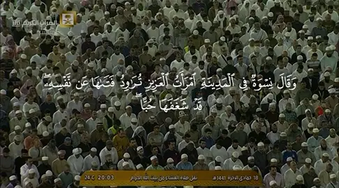 #قران #ماهرالمعيقلي #quran #تلاوات #قران_كريم 