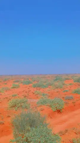 socodsiiye#flyppppppppppppppppppp 