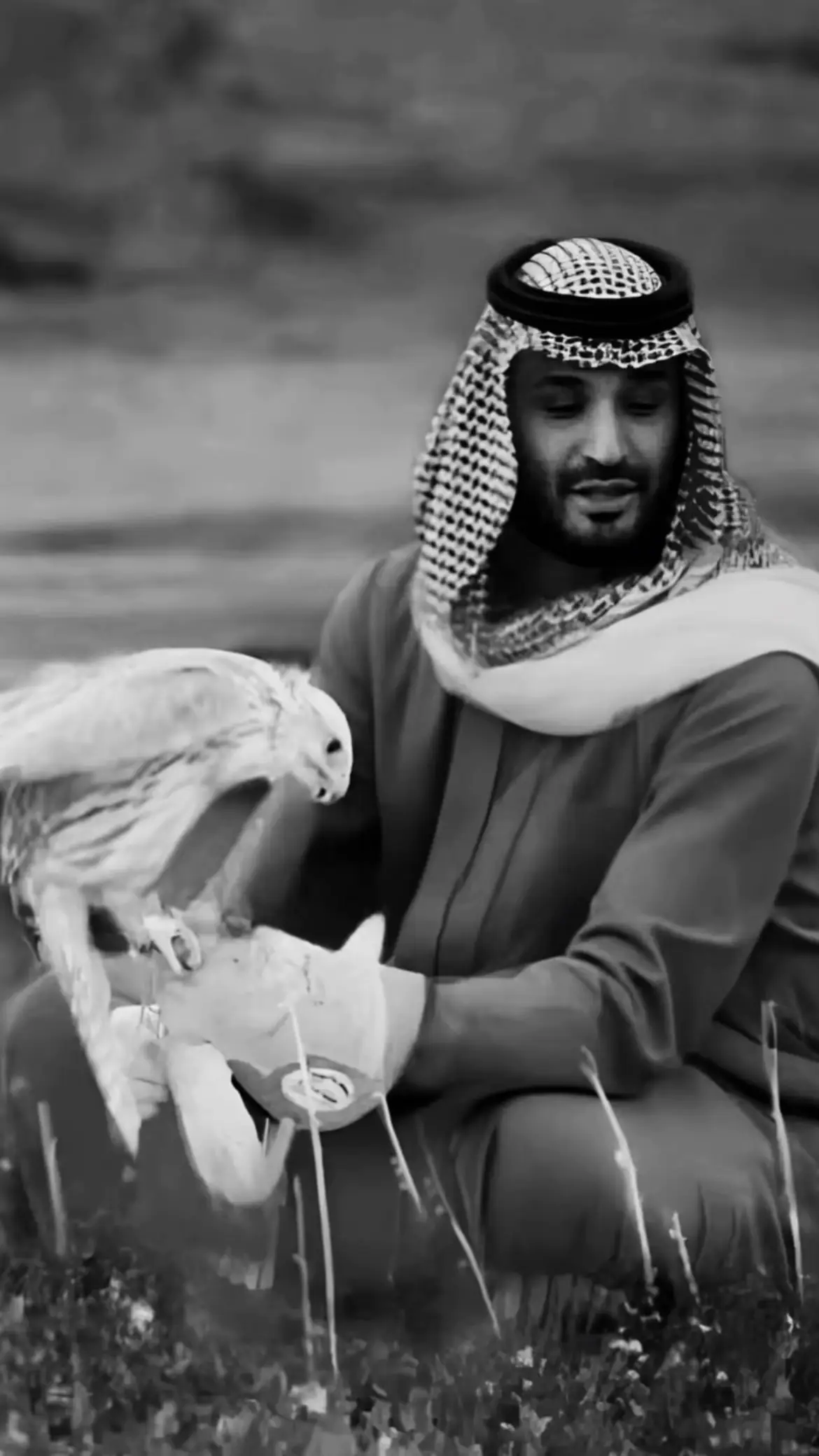 #creatorsearchinsights #سفر_الدغيلبي #f #محمد_بن_سلمان #محضوره_من_الاكسبلور_والمشاهدات 