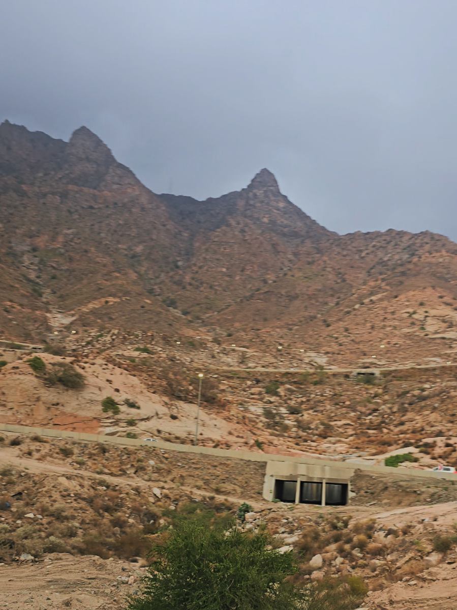 و بكى بعضي على بعضي معي  #fyp #explore #foryou #taif #الشعب_المصري_ماله_حل😂😂 