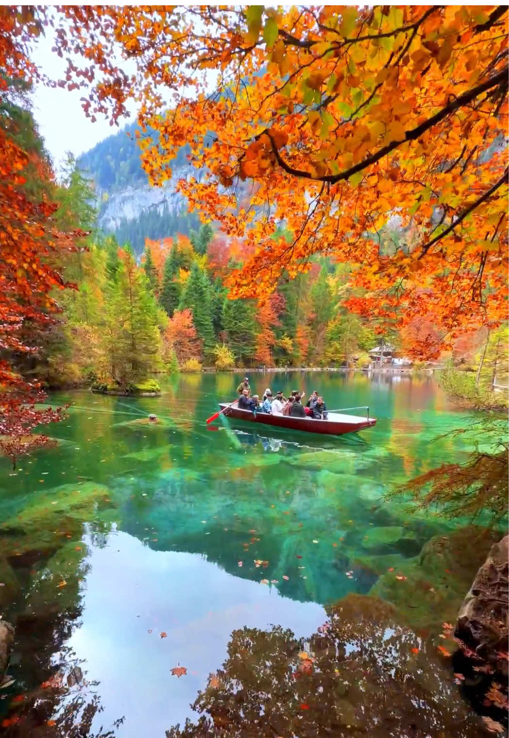 📍Blausee in autumn 🍂🇨🇭 Follow for daily Swiss Content 🇨🇭 Want to know the exact location of this spot? 🗺️ Check the link in my bio! 🇨🇭🫶 📌 Save this for your (next) trip to Switzerland 🇨🇭  🎥 by: @swisswoow  #berneroberland #switzerland #schweiz #kandersteg #blausee