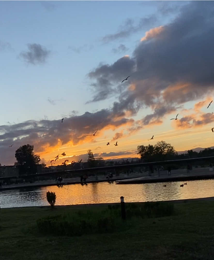 Just another beautiful morning at USTHB 💛✨ #fyp #usthb #sunrise 