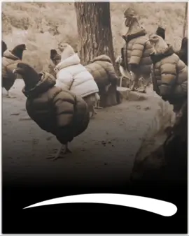 #funnyvideo#funny#fyp