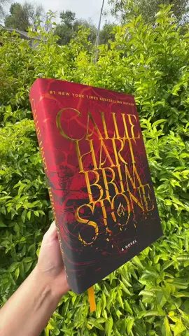 The colored map 😭 #brimstone #quicksilver #calliehart #kingfisher #BookTok 