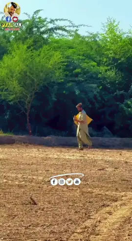 احساس❤👉  #birdlife  #facebookreel  #hilights  #storytime  #videoviralシviralシ2025