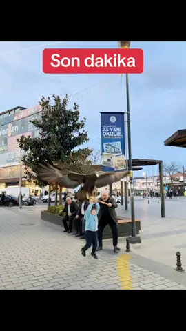 Kaya Kartalı şehrin ortasında çocuk kaçırmaya çalıştı#asmr #yapayzeka #aı 
