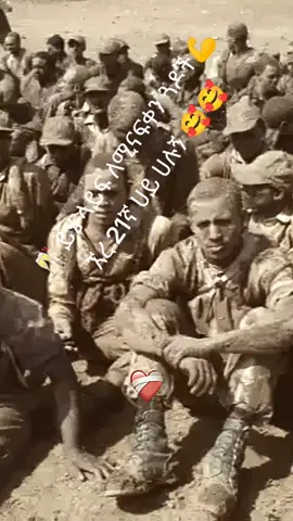 #21ኮርስ#የነብርዘር #tiktokviral #CapCut #ኢትዮጵያ_ለዘለዓለም_ትኑር🇪🇹🇪🇹🇪🇹 