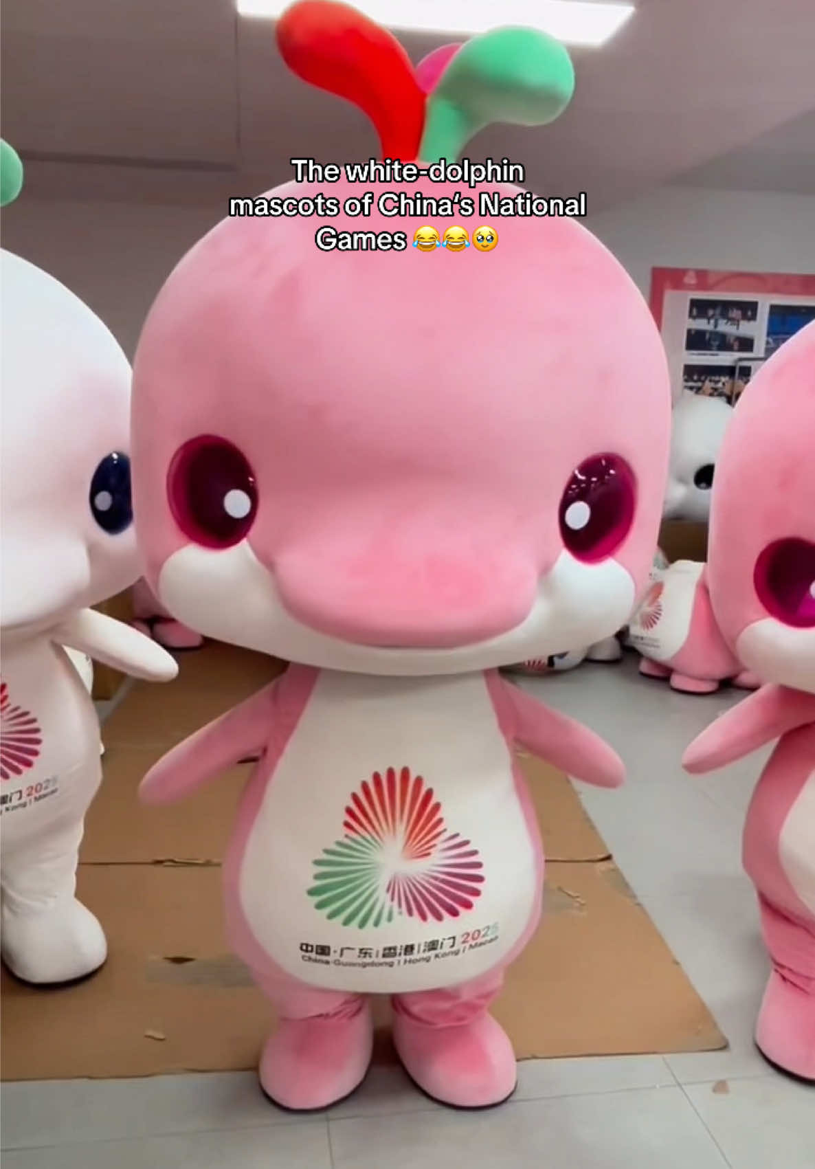 China’s 15th National Games are currently underway and its two mascots have quietly become the centre of public attention: Xiyangyang and Lerongrong, modelled on the Chinese white dolphin, often referred to as the “giant panda of the sea.” 🐬  Their rounded shapes and clumsy movements have circulated widely online, with many users noting that they look as much like “Greater Bay chickens” as dolphins. But beyond the jokes, the mascots serve a deliberate symbolic purpose. The Chinese white dolphin is a Grade-1 protected species native to the Pearl River Estuary, frequently used to promote marine conservation and the idea of balanced coexistence with nature. Their white and pink colours reflect the animal’s natural tones, while their names point to themes of joy, unity and connection, mirroring the Games’ emphasis on linking Guangdong, Hong Kong and Macao across the Greater Bay Area. • • • #mascots #funnyanimals #wholesome #memes #mascot 