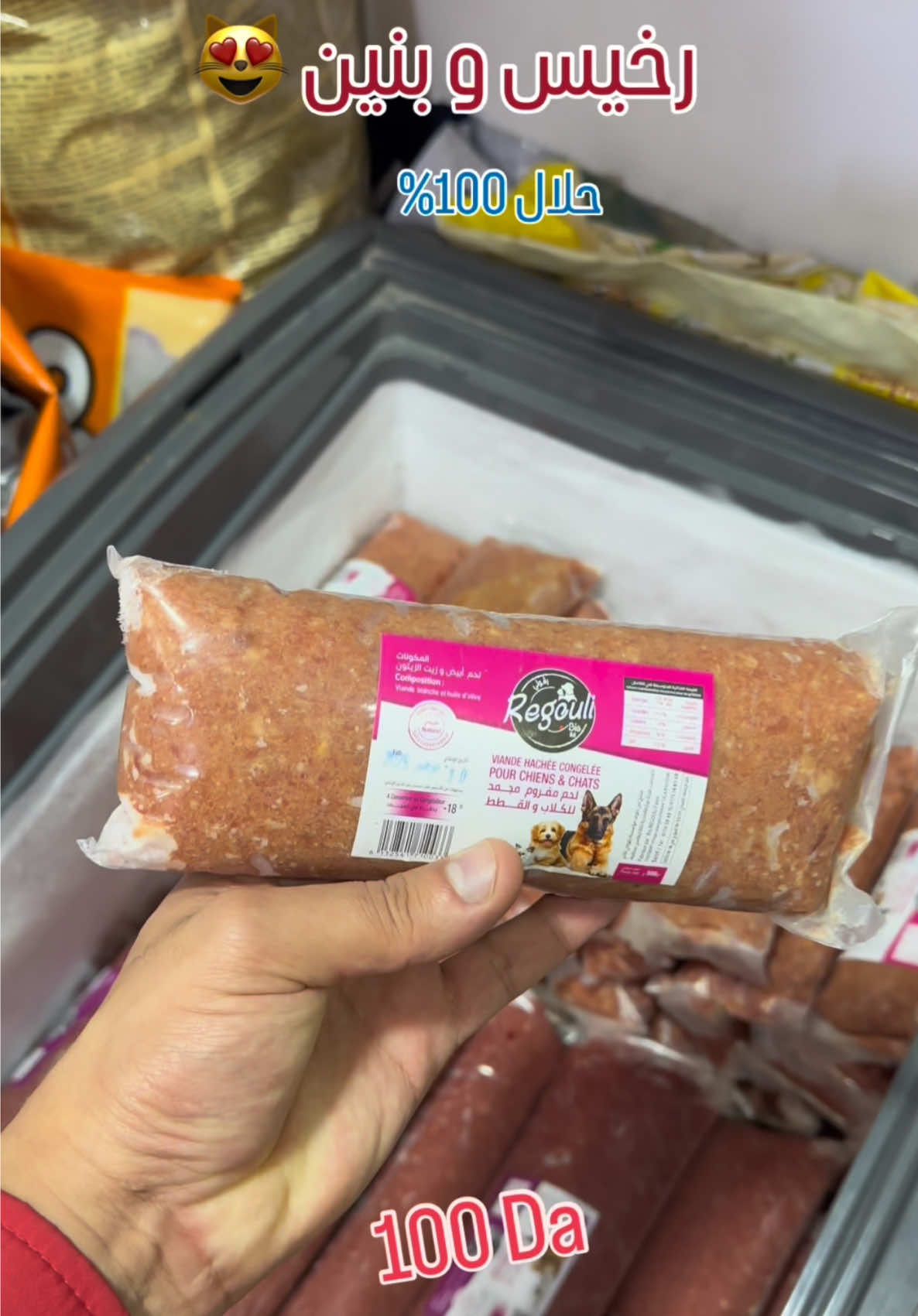 @Nice Nimo Kouba رخيس و بنين 😻 #animalerie_nice_nimo #animalerie #chat #kouba 