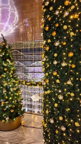 Hudson Yards Christmas lights in New York City 🎄✨ One of the most beautiful holiday spots on the West Side 🗽 #nycwalk #hudsonyards #christmasinnyc #holidayseasonnyc #elliewalks