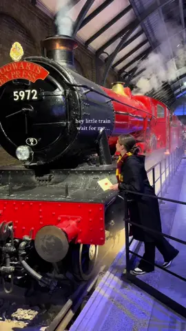 Warner Bros Studios London📍 #harrypotter #harrypotterstudioslondon #london #warnerbrosstudioharrypotter #ausflugsziel 