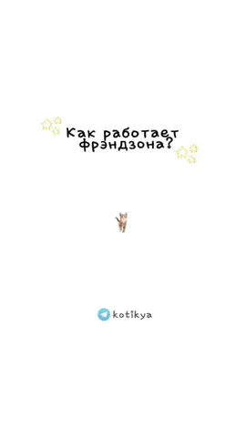 #френдзона #котята #поясняю 