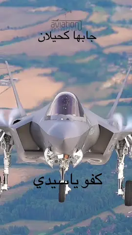 #سيدي محمد بن سلمان