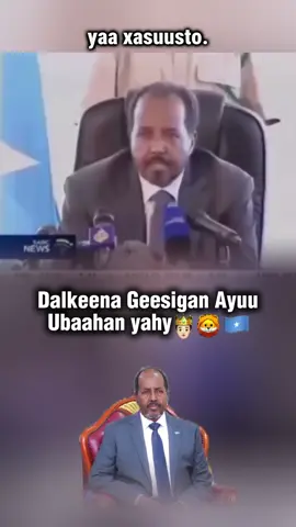 dalxureeye 🦁 🤴🏻#abgaaley😀 #dalxureeye🦁🇸🇴 #GANERAL_ismaaciil #muqdishotiktok #fpyyyyyyyyyyyyyyyyyyyyyy 