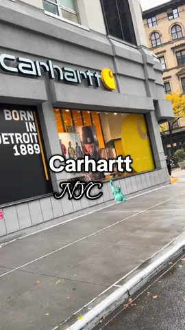 Carhartt 10/10 🪵 #carhartt #fallaesthetic 