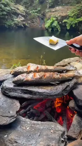 cooking fish in the middle of mountain🏔️🐟🔥💦 #cookingasmr #outdoorcooking #camping #fish #recipes 