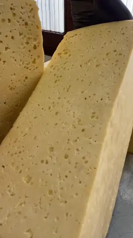 Queso de primera, queso seco de San Javier ,delicoso y de primera ,pedilo aqui 📲756/14199 Envios a Todo Bolivia🇧🇴 #santacruzdelasierra🇳🇬 #bolivia🇧🇴 #quesoseco #quesocriollo #quesofresco #sanjavier #quesodeldia #quesosanjavier #scrz🇳🇬 #barato #fyp 