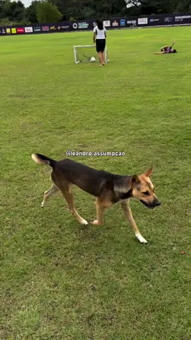 no campo ela é a melhor maraia @Ronaldinho #LIVEIncentiveProgram #LIVEStory #PaidPartnership 