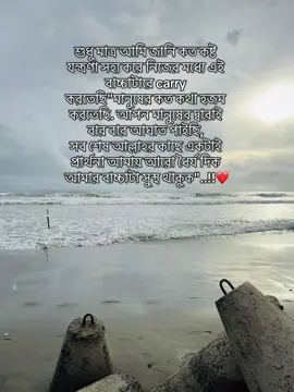 শুধু মাত্র আমি জানি কত কষ্ট যন্ত্রণা সহ্য করে নিজের মধ্যে এই বাচ্চাটারে carry করতেছি