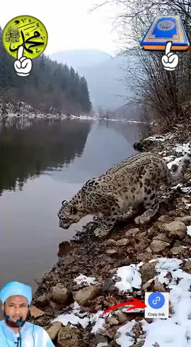 #igulasaliyarasulkascwscw🕌🕋🕋🕋 