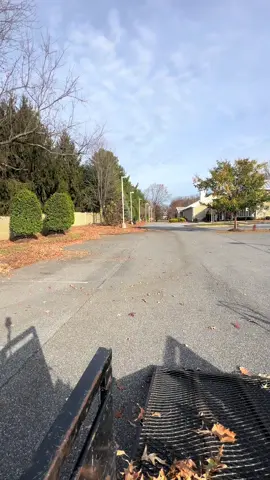 Así se ganan los dólares #greenscreenvideo #yar #tik #paisajes #LIVEIncentiveProgram 