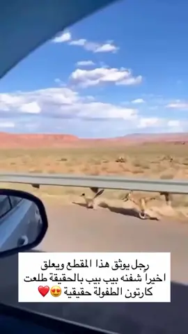 #اكسبلور_تيك_توك #الشعب_الصيني_ماله_حل😂😂 