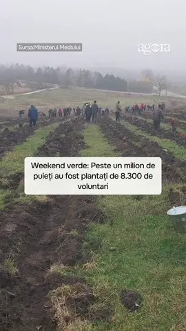 🟢Peste 8.300 de voluntari s-au alăturat campaniei „Generația Pădurii”, plantând 1,22 milioane de puieți pe 286 de hectare. S-a întâmplat la 15 noiembrie.  🟢Cea mai mare acțiune a avut loc la Mihailovca, unde au fost împădurite 27 de hectare, informează Ministerul Mediului.