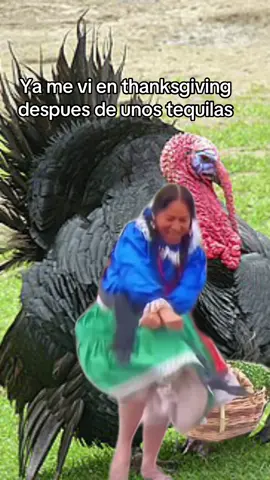 #mexican #latinosenusa #fyp #parati #funnyvideos 