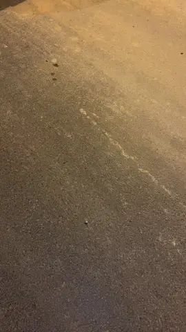 😓😓#اكسنت #العزيزيه 