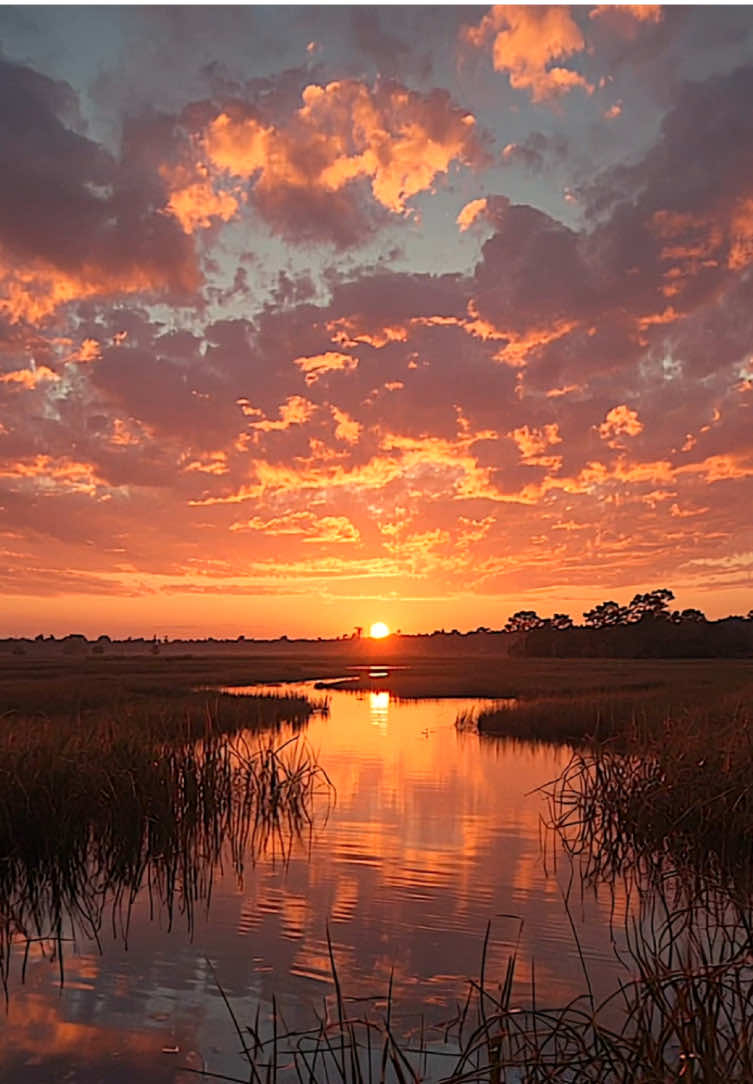 Cosy pond ambience #RelaxationTV #naturelovers #sunset #forestlover #relaxingtime #foryou #naturetok #soothingvibes #calmingvideo  