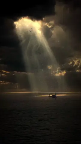 دعاء يوم الاربعاء 2025/11/19 #دعاء اللهم أنزل رحمتك علينا 🦋🍃 #يارب_العالمين🙏 #foryoupage #fypage #fypシ゚ 