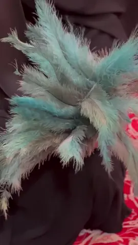 #خدام_الامام_الحسين_عليه_السلام  #ابا_الفضل_العباس  هنيئا لمن خدم محمد وآل محمد بنيه خالصة لوجهه الله تعالى 