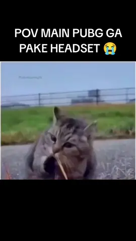 PERASAAN KAYAK ADA MOBIL DEH 😭 #fyp #pubg #pubglover #pubgm #pubgindonesia 