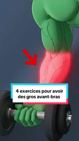 Tu veux des gros avant-bras ? Fais ces 4 exercices. #muscu #Fitness #bras #musculation #muscle 