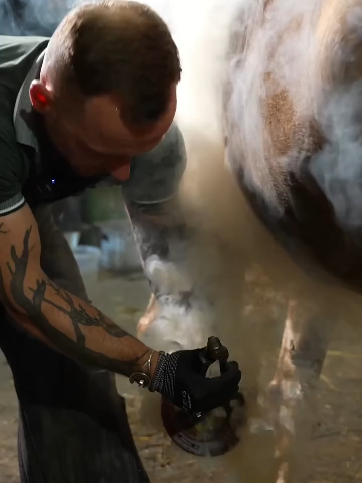 #doroboty #laboratorium #mercedes #ciekawostki #pracazludźmi #dzieci #podcast #motywacja #flowme #flow