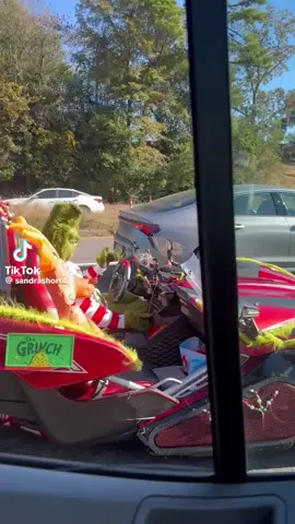 the Grinch in the car #grinch #noel #christmas #santa #tiktok 