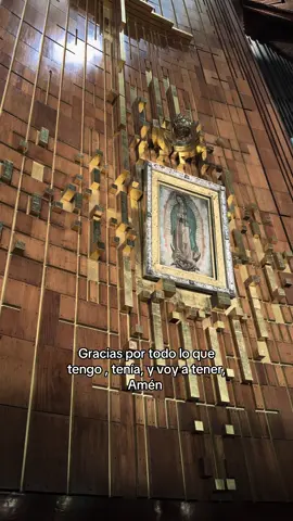 Gracias a Dios y a la Virgencita 🤍 #Dios #virgendeguadalupe #basilicadeguadalupe #fyp #foryoupage 
