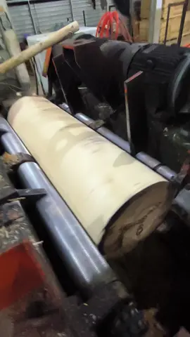 #rotaryopc #sengonbalap #plywood #rotaryalbasia #inatera @Cctv Bukit Curahem Real @seputar. sengonlumajangan @Jawad Su @Ilham Lugaya @AgusMulyadi @sengon balapp1 @Indrawan Indra 