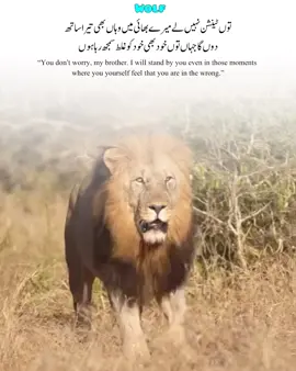 Here is the English translation: “You don’t worry, my brother. I will stand by you even in those moments where you yourself feel that you are in the wrong.” #unfreezemyacount #firyoupage #plese_tiktok_for_you #plese_tiktok_for_you_page #unfreezemyacount 