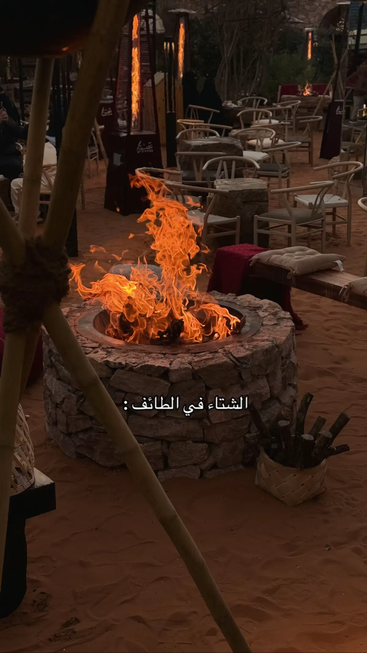 #اكسبلور #winter #wintervibes #الشفا #الطائف 