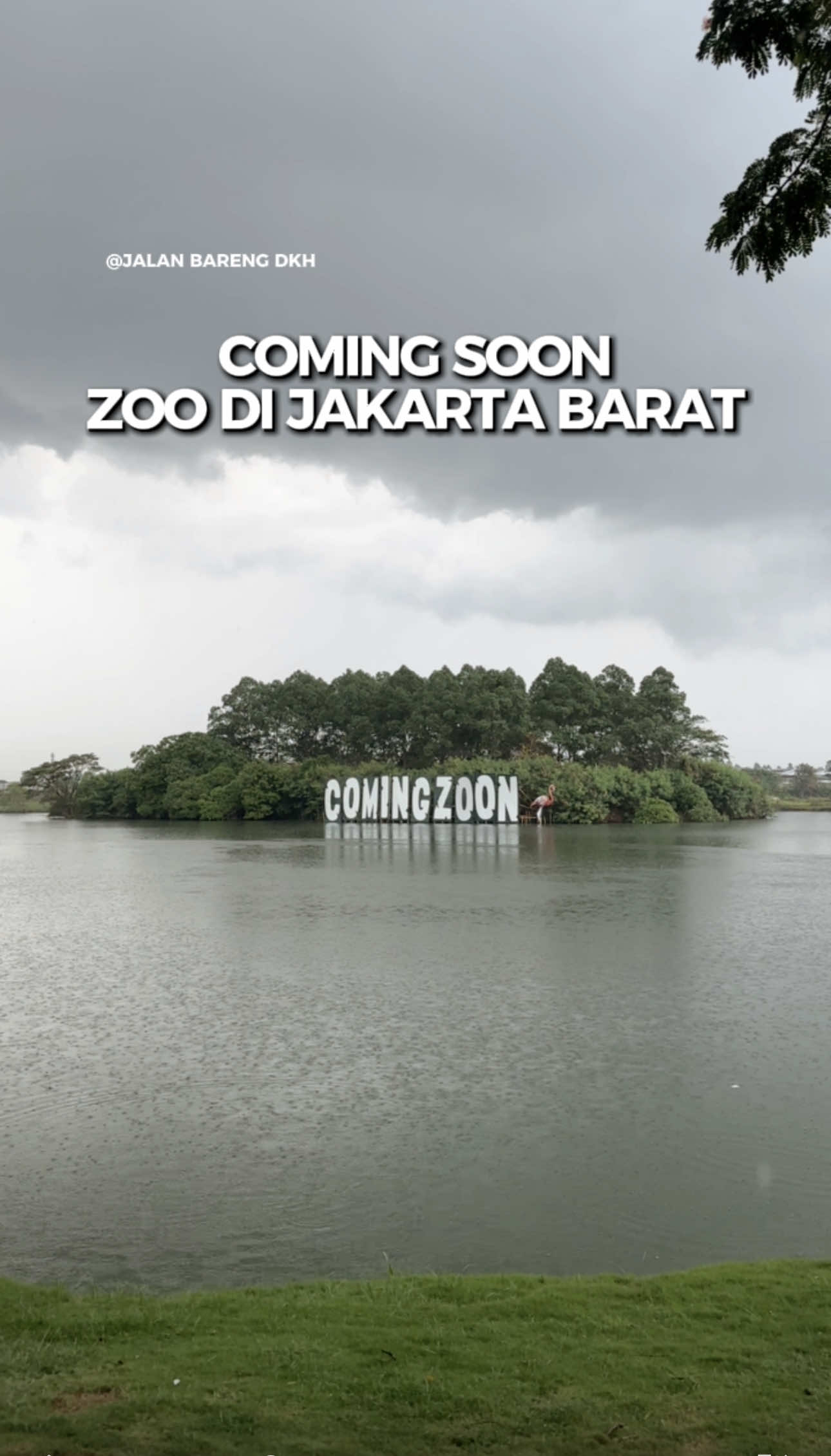 COMING SOON ZOO DI JAKARTA BARAT✨ Gak sabar nunggu jadi bakal sebesar apa ya, lokasi nya juga bagus banget di pinggir danau, katanya bakal ada jembatan menuju kesana wahhh🤨!! Tunggu!! deh tanggal mainnya mudah mudahan cepet jadinya ya.. Cek kanan kiri nya banyak resto dan cafe yang bisa jadi tempat nongkrong pinggir danau paling kece di Jakarta Barat🔥 Lokasi: 📍SUNSET AVENUE CITRA 8 - JAKARTA BARAT #Citra8SunsetAvenue #Citra8 #SunsetAvenueCitra8 #ZooSunsetAvenue #Citra8SunsetAvenue                         