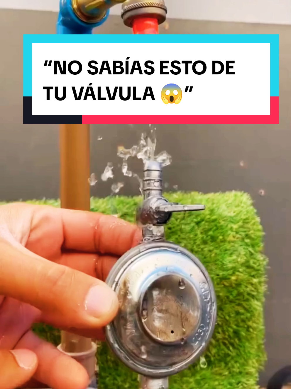Jamás imaginarías que una válvula vieja de la cocina podría convertirse en una herramienta útil para tu jardín 🌱🔧. En lugar de tirarla, dale una segunda vida con este truco sencillo, práctico y económico. Reutilizar no solo te ahorra dinero, sino que además te hace más creativo e inteligente a la hora de solucionar problemas en casa. ¡Probalo y contame si sabías este truco! 💡🔥 #HágaloUstedMismo #TrucosCaseros #Reutilizar #NoLoTires #IdeasGeniales 