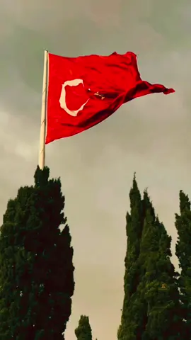 #حلب#بورصة_كنت_ميدان #تركيا🇹🇷اسطنبول #اسطنبول_تركيا_غازي_عنتاب_سوريا_حلب 