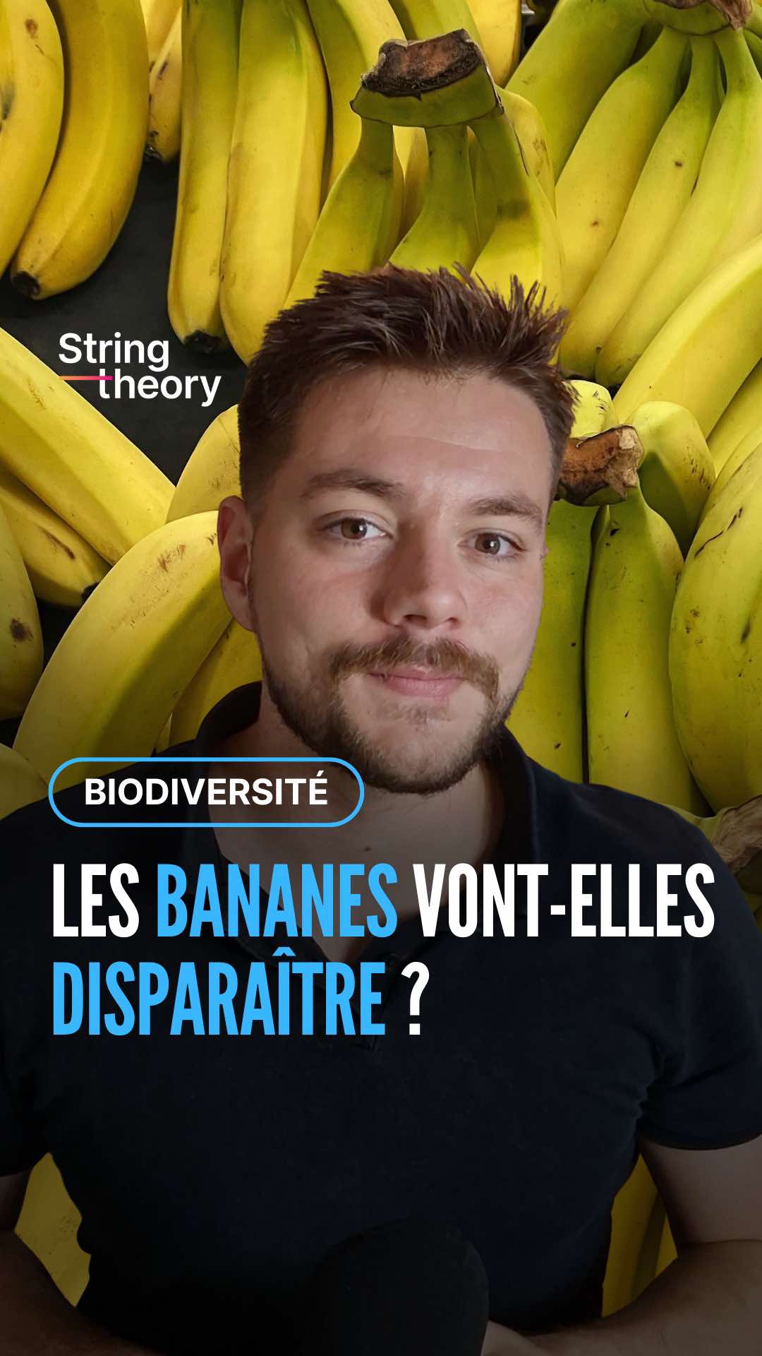 🍌 Et si la banane devenait un produit de luxe ? Avec le réchauffement climatique, jusqu’à 60 % des zones propices à sa culture pourraient disparaître d’ici 2060–2080. 🌡️ Café, cacao, riz, eau, agriculture : tout notre quotidien va être bouleversé. Envie de comprendre ce qui nous attend ? Regarde la vidéo de @micke_science et suis de près la COP 30 Brazil, où se jouent des décisions qui vont impacter ta vie. 🎥 #climat #réchauffementclimatique  #agriculture #COP30 #Science 