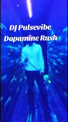 Dj Pulsevibe - Dopamine Rush  #musik #pulsevibe #2025 #house #dopaminerush 