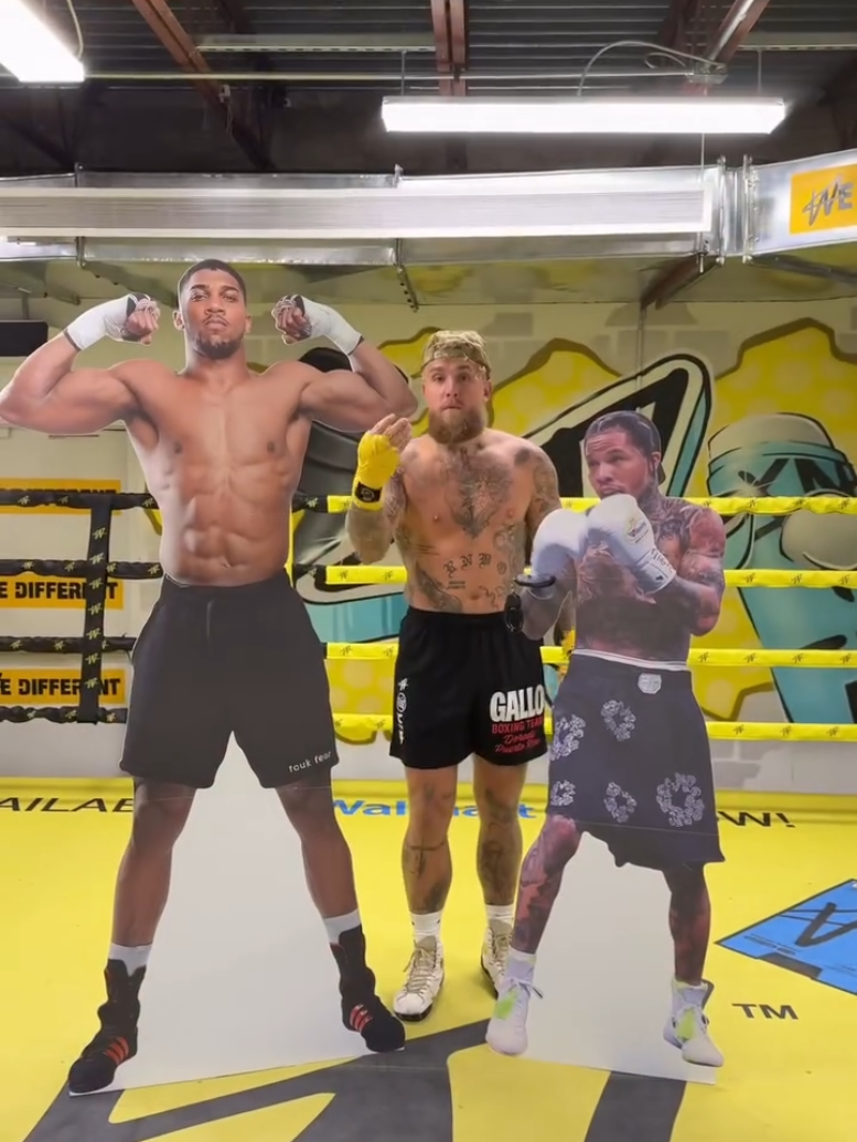 Jake paul, gervota tank davis, anthony Joshua  #jakepaul #tankdavis #anthonyjoshua 