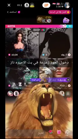 دخول العود زعزعة في بث الاميره ناز #مشهادات_عاليه #الشيخضايع #الشعب_الصيني_ماله_حل😂😂 #تيك_توك @نـاز 🇾🇪 🇺🇸 #a____________________192