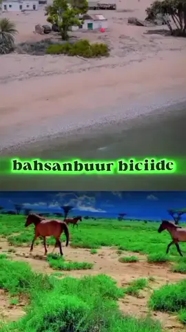 qaar kamid ah dhulkii tolka#somliland💉💚☁️❤️ 