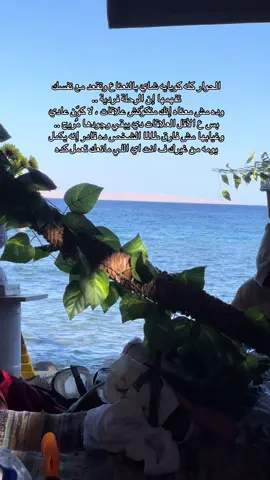 #مصر_السعوديه_العراق_فلسطين #mrpattloviral?videotiktok😇😇andforyou★★ #viraltiktok #video #photography 