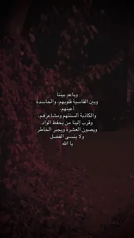 #قونيا________________قونيا😌💙 #تصويري 